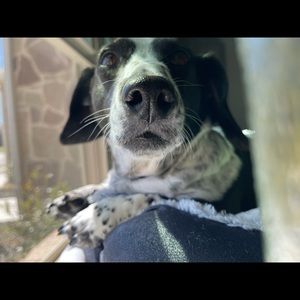 Meet your Posher, Jay